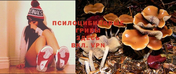 mix Алексеевка