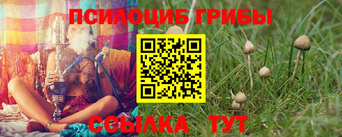 Псилоцибиновые грибы Psilocybine cubensis Выкса